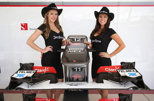 2013 United States Grand Prix