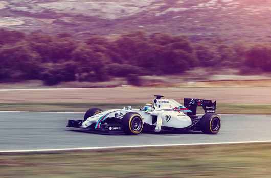 2014 Williams Martini Racing FW36