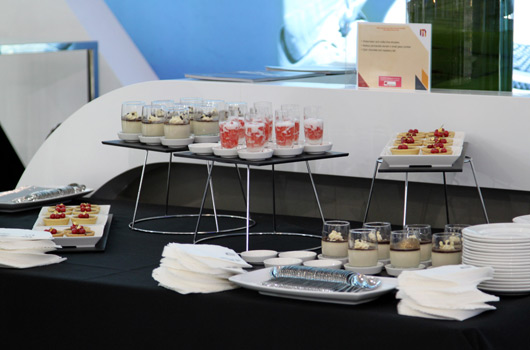 Hyundai at AIMS 2011