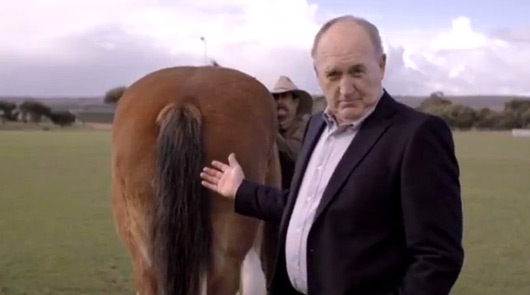 Matemorphosis campaign