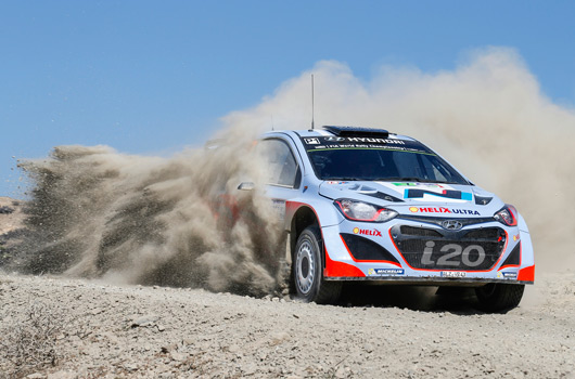 2014 WRC Rally Mexico